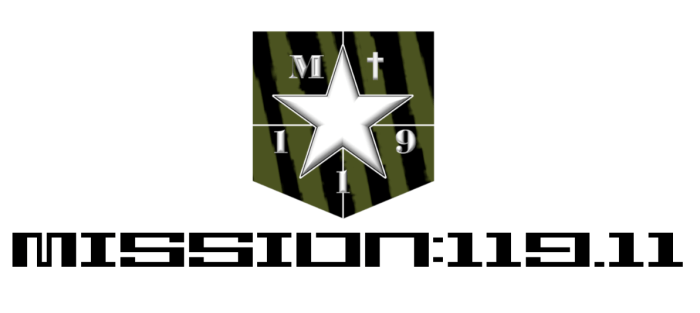 Mission 119-11